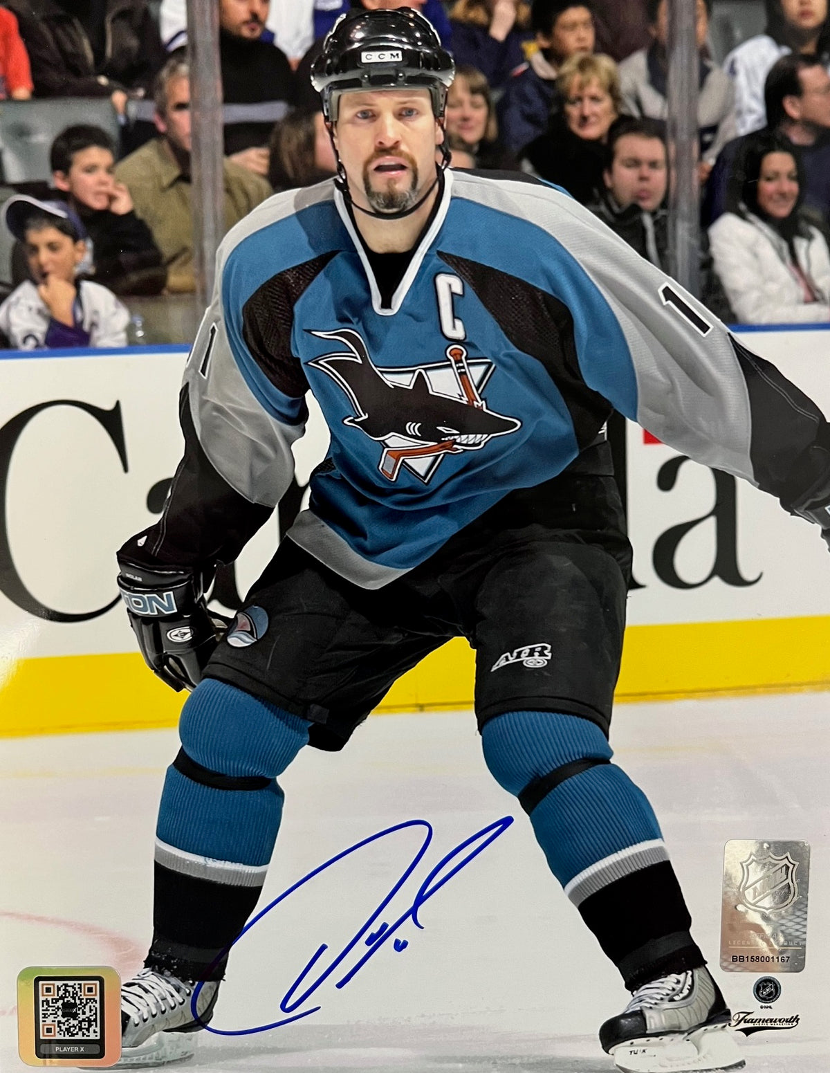 8x10 Owen Nolan San Jose Sharks Autographed Photo